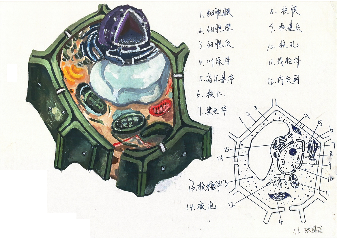 “模型我秀”学生作品展