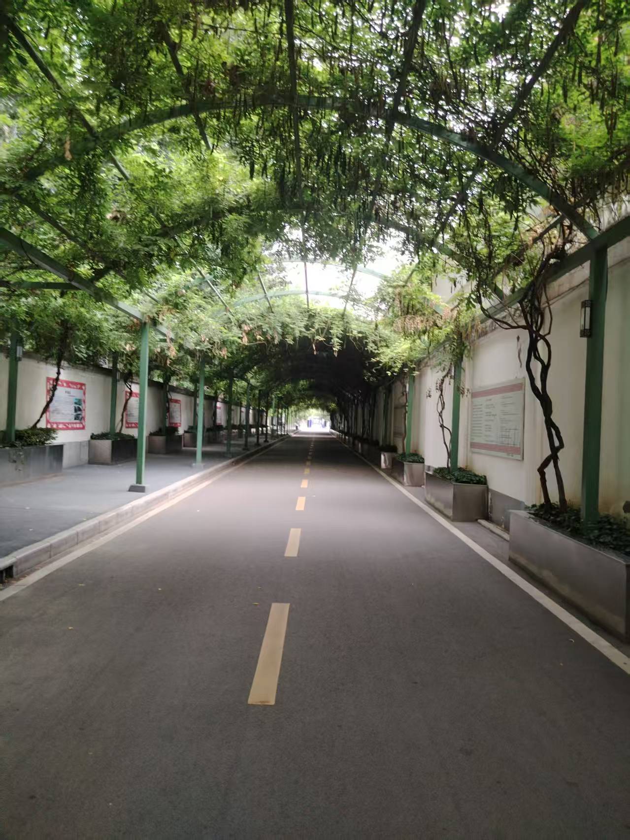 参加第三届论坛   践行教育家情怀