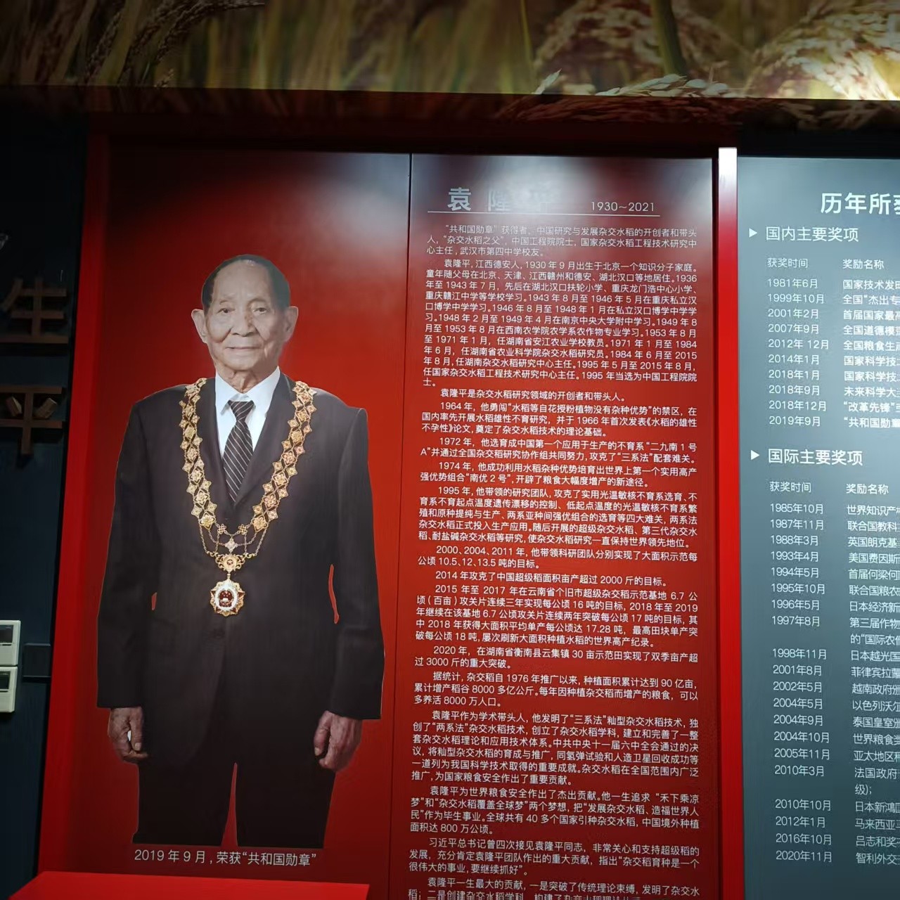 武汉研修