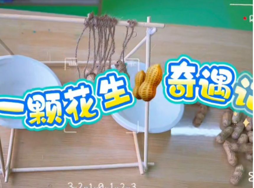2025.12.12大二班本土资源《一颗花生🥜奇遇记》