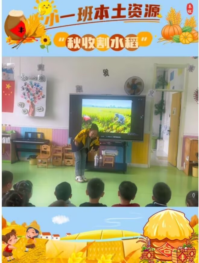 2026.9.20小一班本土资源《秋收割水稻》